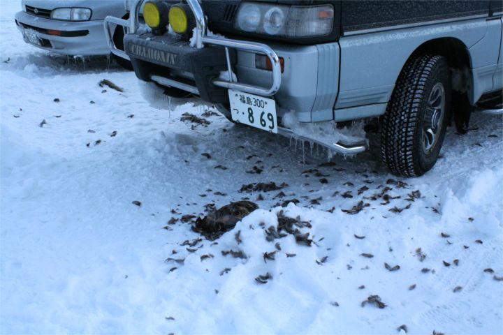 d0012134_15535292.jpg