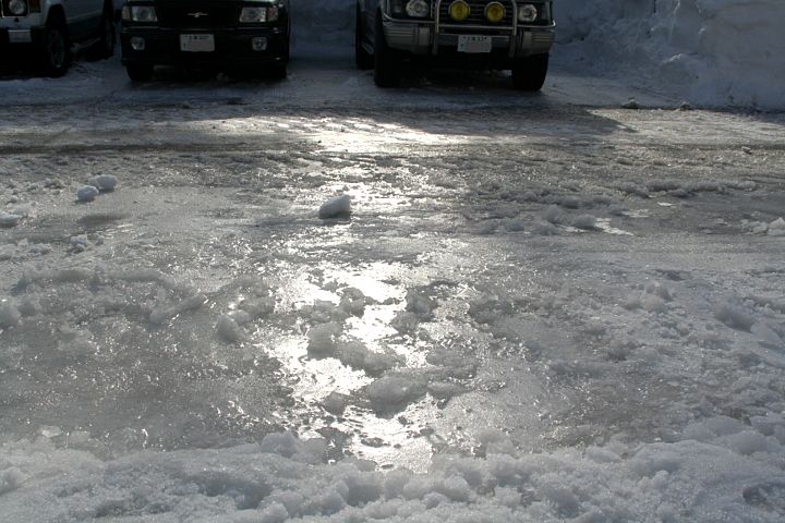 d0012134_1675061.jpg