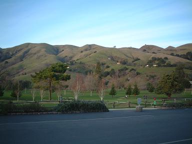 e0019942_5461285.jpg