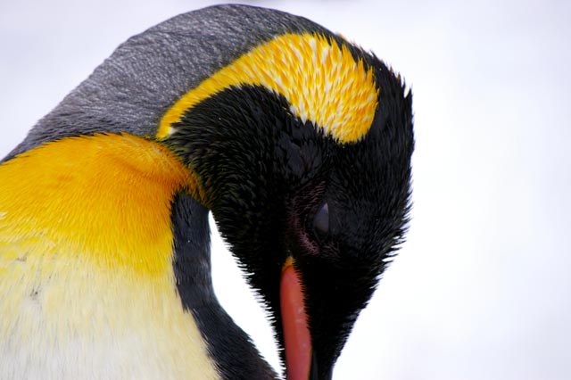 f0045846_1334529.jpg