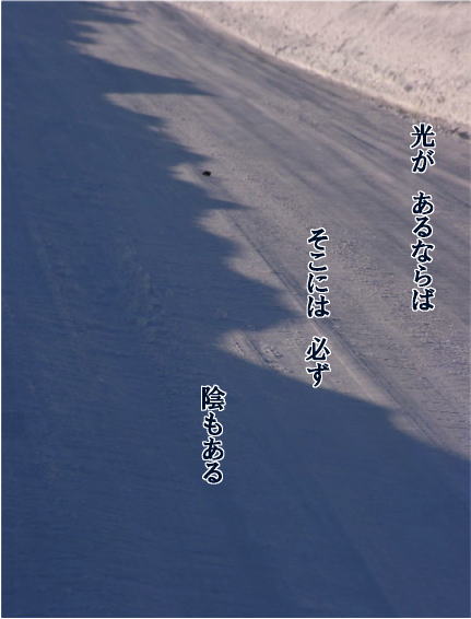 a0009747_23134430.jpg
