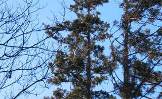 f0000350_2234718.jpg
