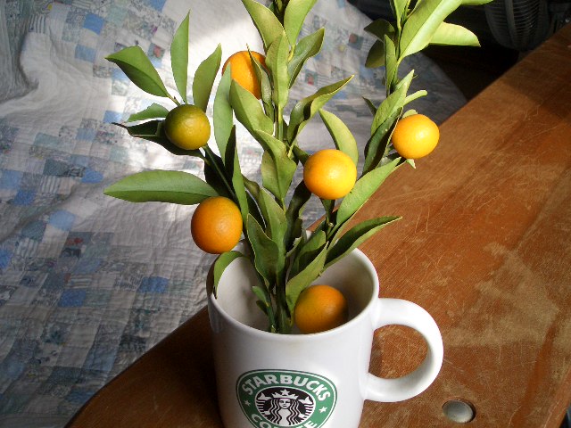 f0009451_13285210.jpg
