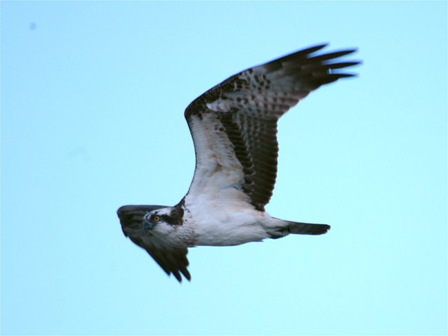d0009773_15525069.jpg