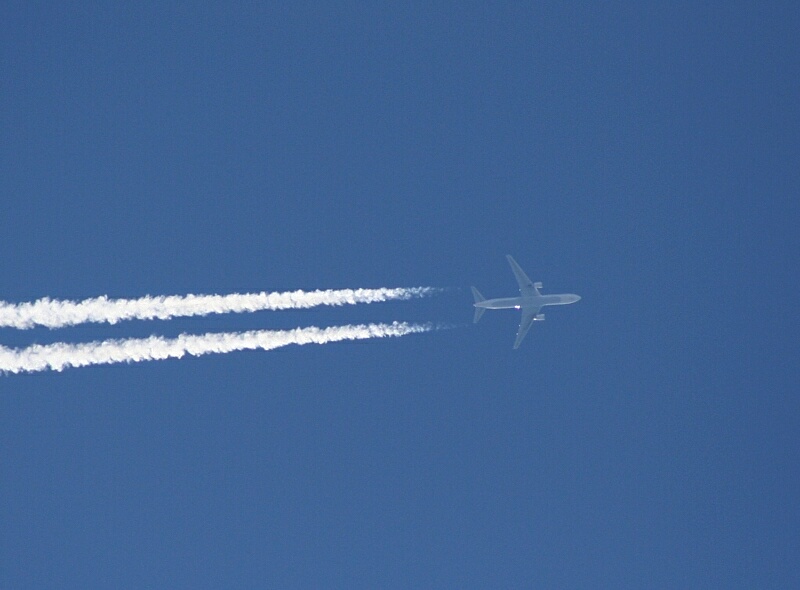 e0051194_1143215.jpg