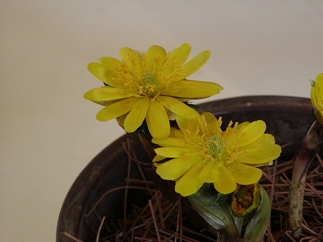 a0009600_14382662.jpg