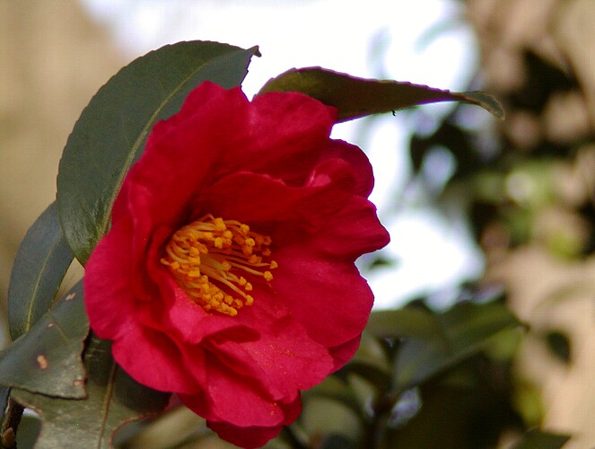 a0009600_14544262.jpg
