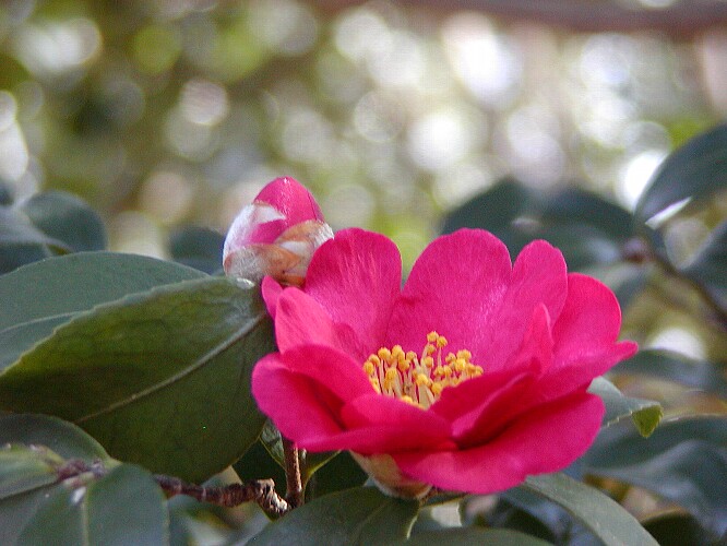 a0009600_14554535.jpg