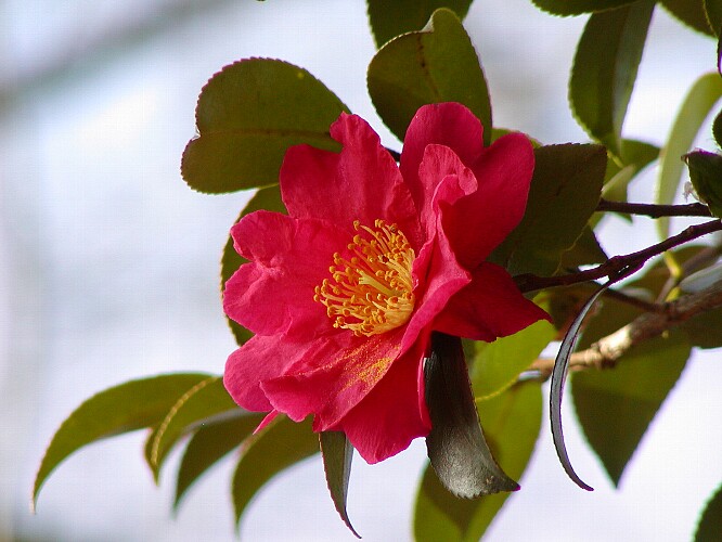 a0009600_14562227.jpg