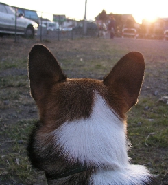 e0071225_21371416.jpg