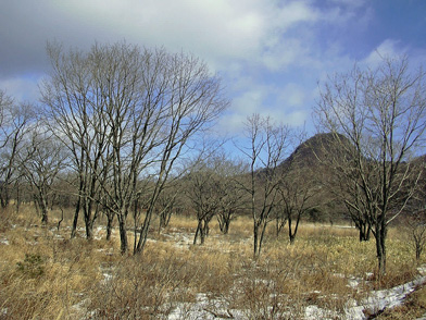 a0001354_1847512.jpg