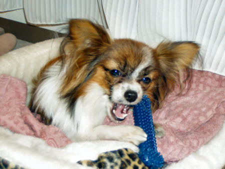 c0074156_0233869.jpg