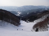 e0066062_1017922.jpg