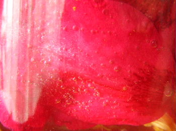 e0067563_21334432.jpg