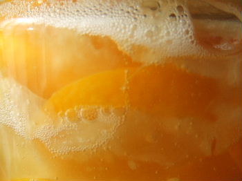 e0067563_2134041.jpg