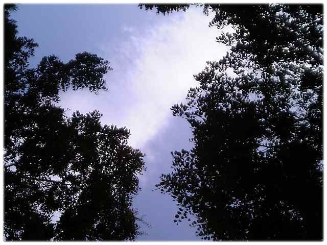 a0021871_23285528.jpg
