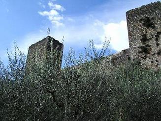 e0023471_17323788.jpg