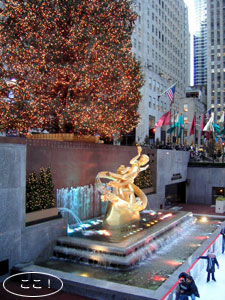 a0063472_10384359.jpg