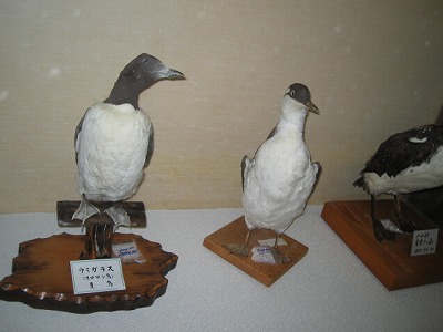 f0028773_22525237.jpg