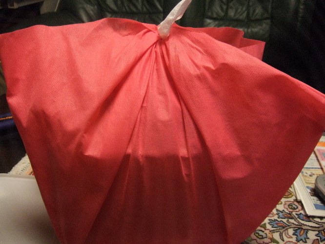 a0064281_16535540.jpg
