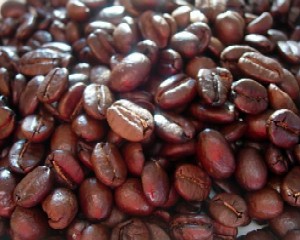 c0000093_1152292.jpg