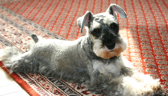 f0001895_15332927.jpg