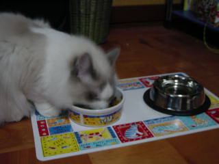 c0024410_23154977.jpg