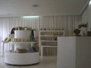 d0038319_143194.gif