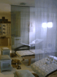 d0038319_1434695.gif