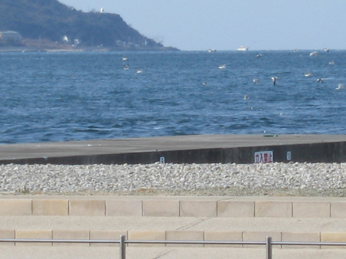 c0030624_23564438.jpg