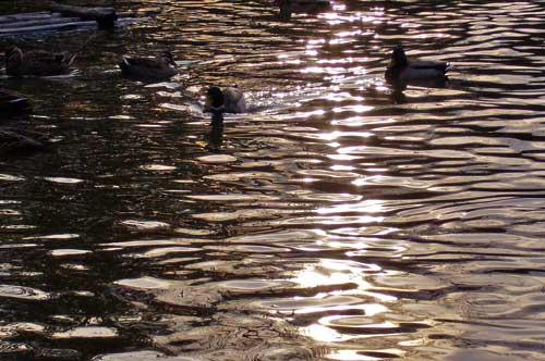 c0068424_23301357.jpg