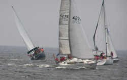 c0041039_961535.jpg