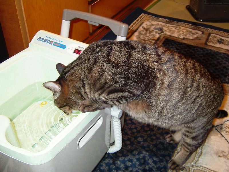 f0032164_02434.jpg