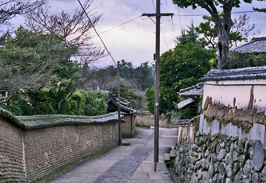 e0002371_94263.jpg