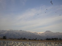 a0034487_17363945.jpg