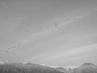 a0034487_17381443.jpg