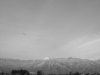 a0034487_17382555.jpg