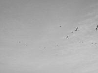 a0034487_17384452.jpg