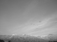 a0034487_1739262.jpg