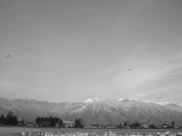 a0034487_17393512.jpg