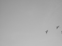 a0034487_17394485.jpg