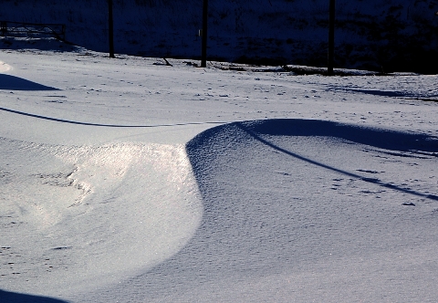 a0062697_2145911.jpg