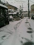c0027700_17233417.jpg