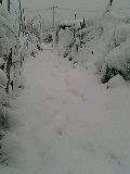 c0027700_17233475.jpg