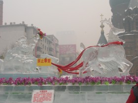 c0060603_2321442.jpg