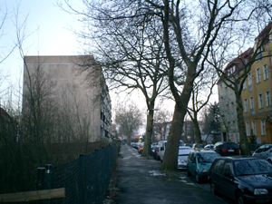 e0038811_5144978.jpg