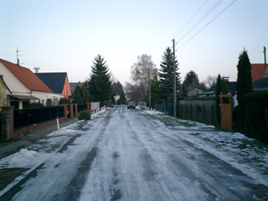 e0038811_7382438.jpg