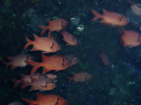a0000014_22222350.jpg