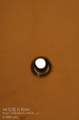 a0042414_16434468.jpg