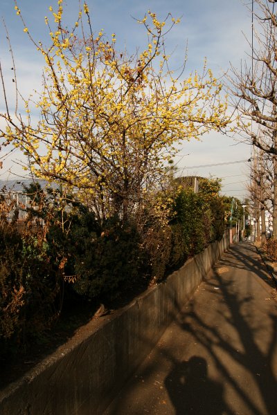 c0030717_0124553.jpg